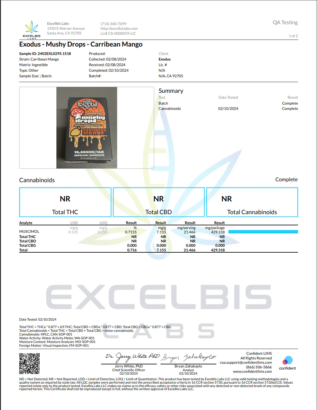 EXODUS: MUSHY DROPS - MUSHROOM GUMMIES - 20CT - Image 7