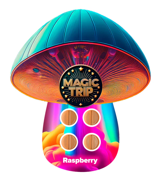 MAGIC TRIP: MAGIC MUSHROOM TABLETS - 4CT - Image 4