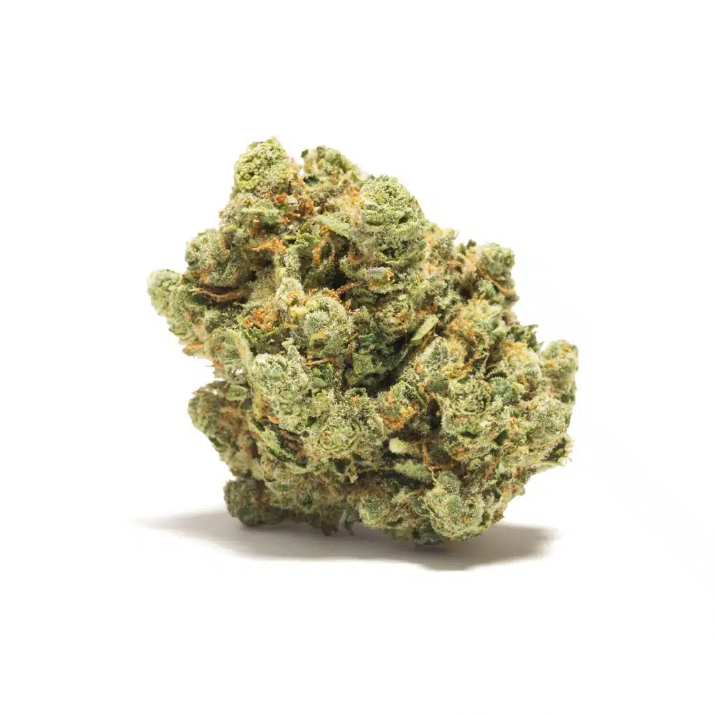 PREMIUM HOUSE FLOWER - SUB ZERO - HYBRID