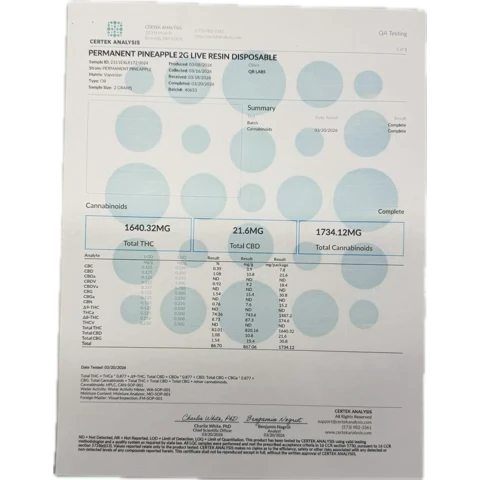 QB LABS - DESIGNER RESIN DISPOSABLE - 2G - Image 17