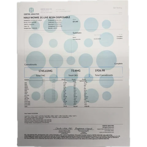 QB LABS - DESIGNER RESIN DISPOSABLE - 2G - Image 18