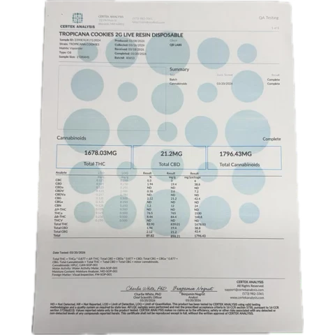 QB LABS - DESIGNER RESIN DISPOSABLE - 2G - Image 20